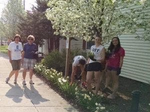 Spencerport Trees and helpers planting